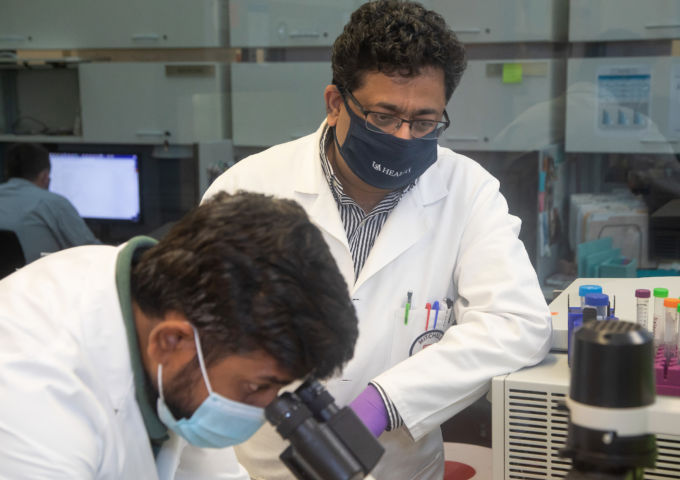 Pancreatic cancer research