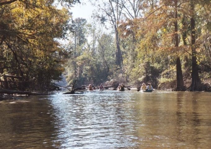 Paddle at the Delta