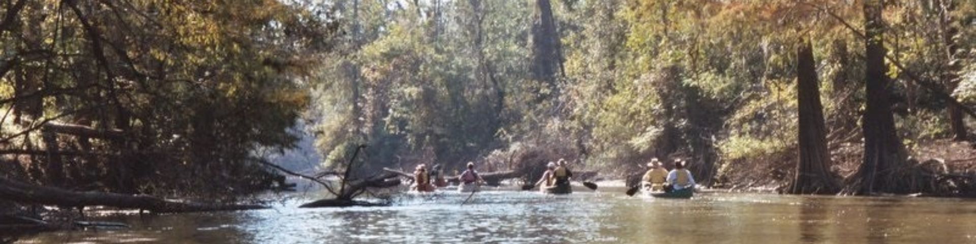 Paddle at the Delta